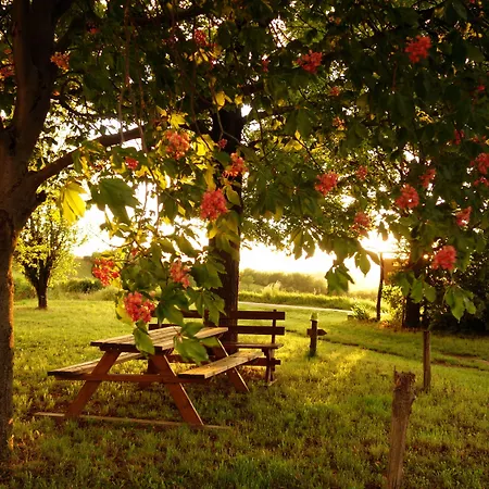 Cascina Alberta * Vignale