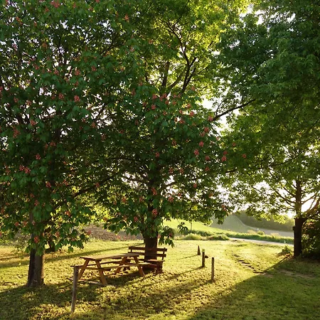 Cascina Alberta Agroturismo Vignale