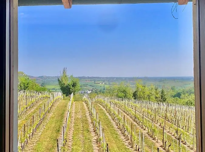 Cascina Alberta Vignale