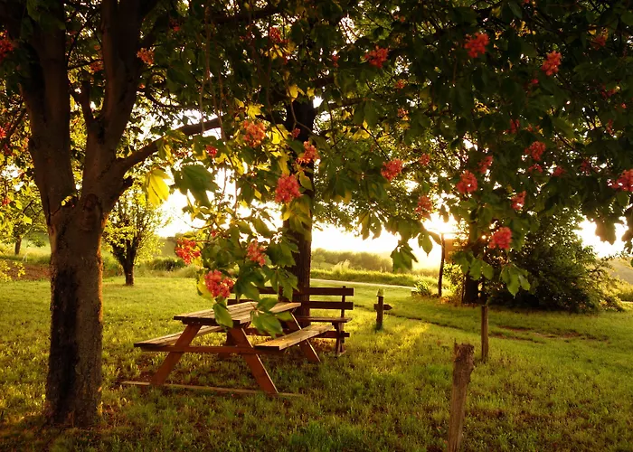 Cascina Alberta * Vignale