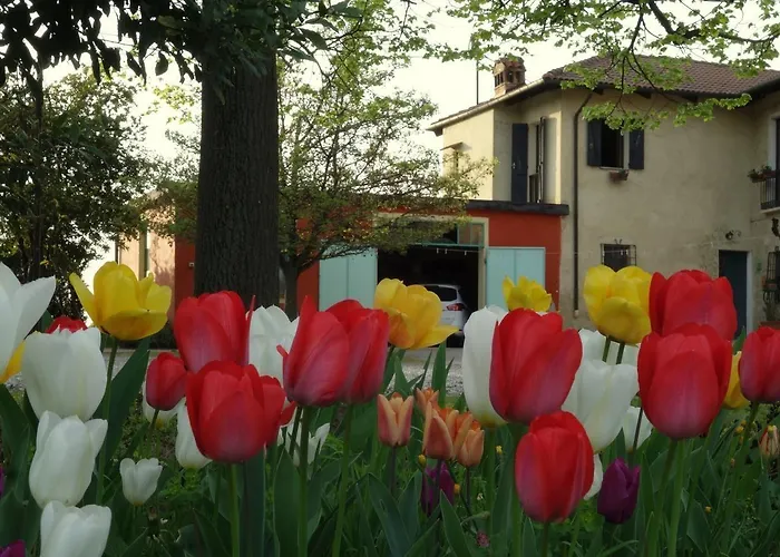 Cascina Alberta *